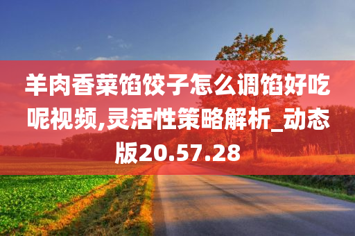 羊肉香菜馅饺子怎么调馅好吃呢视频,灵活性策略解析_动态版20.57.28