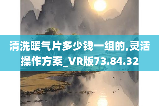 清洗暖气片多少钱一组的,灵活操作方案_VR版73.84.32