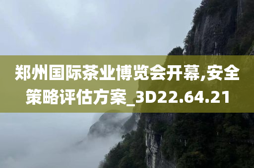 郑州国际茶业博览会开幕,安全策略评估方案_3D22.64.21