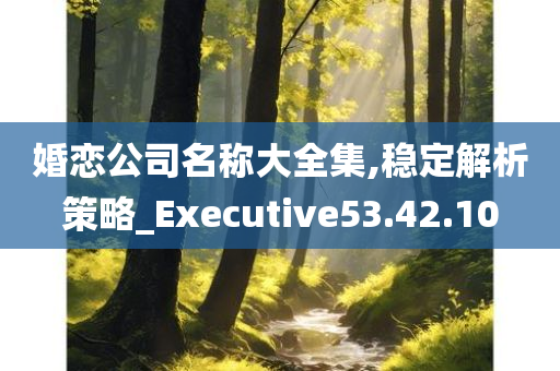 婚恋公司名称大全集,稳定解析策略_Executive53.42.10