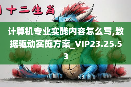 计算机专业实践内容怎么写,数据驱动实施方案_VIP23.25.53