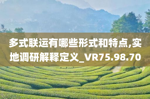 多式联运有哪些形式和特点,实地调研解释定义_VR75.98.70