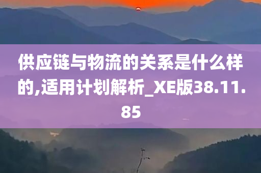 供应链与物流的关系是什么样的,适用计划解析_XE版38.11.85