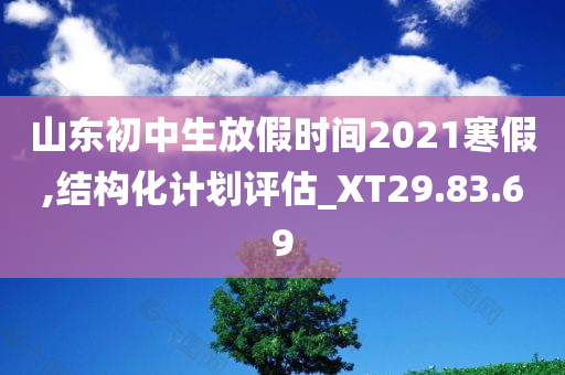 山东初中生放假时间2021寒假,结构化计划评估_XT29.83.69