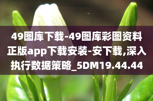 49图库下载-49图库彩图资料正版app下载安装-安下载,深入执行数据策略_5DM19.44.44