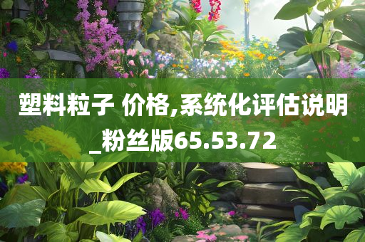 塑料粒子 价格,系统化评估说明_粉丝版65.53.72