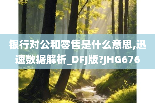 银行对公和零售是什么意思,迅速数据解析_DFJ版?JHG676