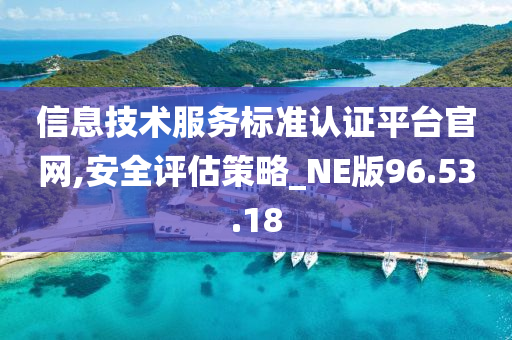 信息技术服务标准认证平台官网,安全评估策略_NE版96.53.18