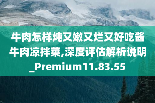 牛肉怎样炖又嫩又烂又好吃酱牛肉凉拌菜,深度评估解析说明_Premium11.83.55