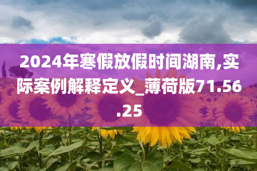 2024年寒假放假时间湖南,实际案例解释定义_薄荷版71.56.25