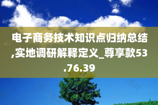 电子商务技术知识点归纳总结,实地调研解释定义_尊享款53.76.39