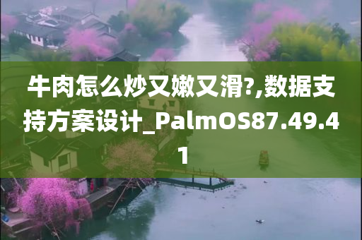 牛肉怎么炒又嫩又滑?,数据支持方案设计_PalmOS87.49.41