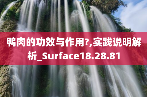 鸭肉的功效与作用?,实践说明解析_Surface18.28.81