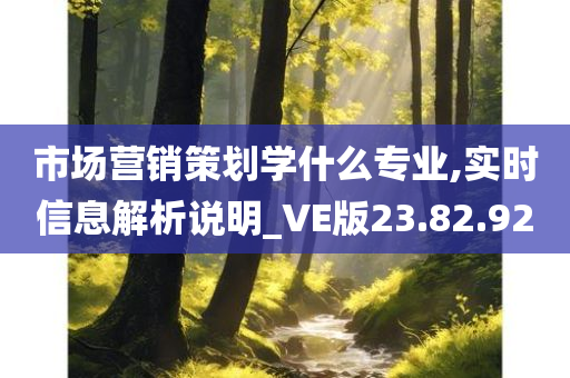 市场营销策划学什么专业,实时信息解析说明_VE版23.82.92