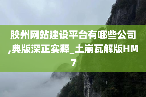 胶州网站建设平台有哪些公司,典版深正实释_土崩瓦解版HM7