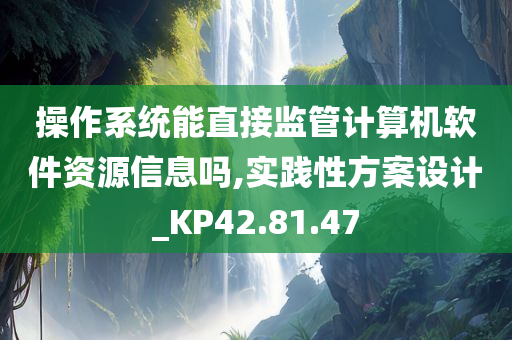 操作系统能直接监管计算机软件资源信息吗,实践性方案设计_KP42.81.47