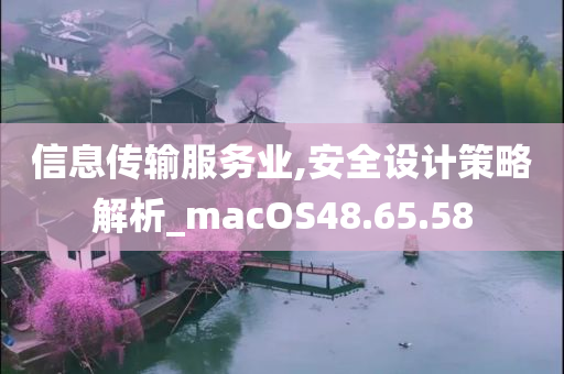 信息传输服务业,安全设计策略解析_macOS48.65.58