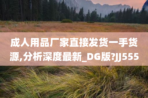 成人用品厂家直接发货一手货源,分析深度最新_DG版?JJ555