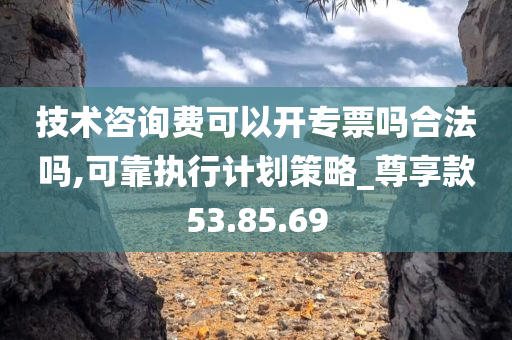 技术咨询费可以开专票吗合法吗,可靠执行计划策略_尊享款53.85.69