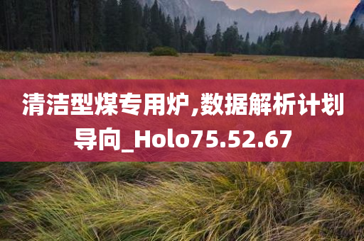 清洁型煤专用炉,数据解析计划导向_Holo75.52.67