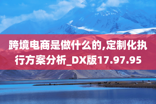 跨境电商是做什么的,定制化执行方案分析_DX版17.97.95