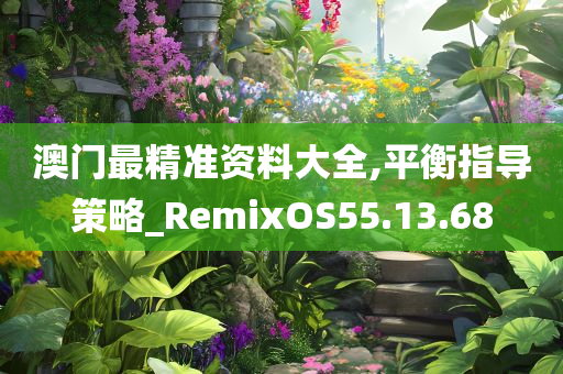 澳门最精准资料大全,平衡指导策略_RemixOS55.13.68