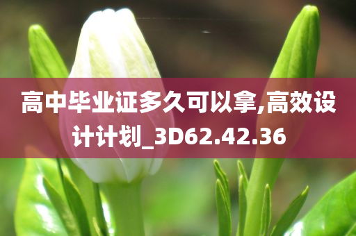 高中毕业证多久可以拿,高效设计计划_3D62.42.36