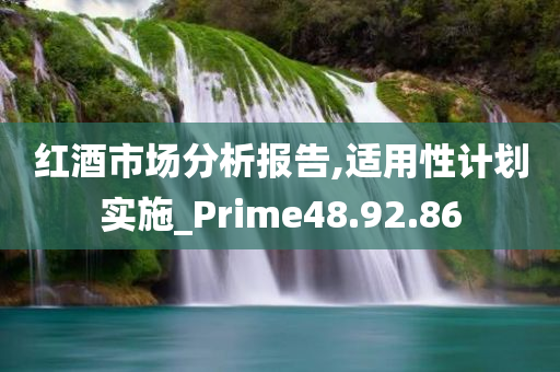 红酒市场分析报告,适用性计划实施_Prime48.92.86