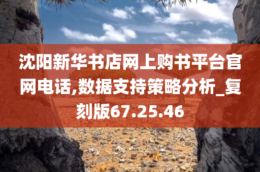 沈阳新华书店网上购书平台官网电话,数据支持策略分析_复刻版67.25.46