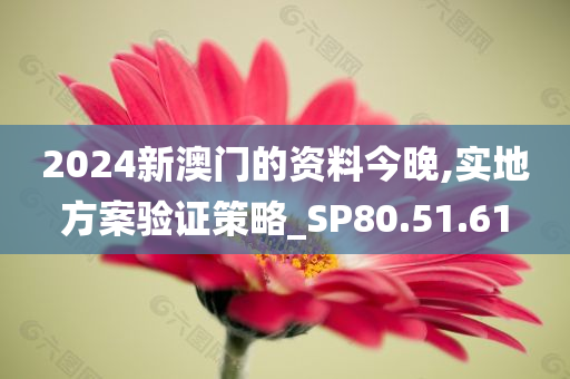 2024新澳门的资料今晚,实地方案验证策略_SP80.51.61