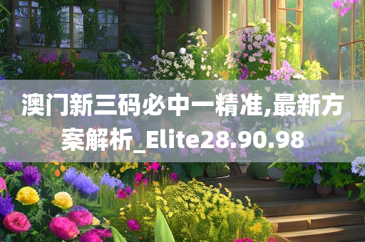 澳门新三码必中一精准,最新方案解析_Elite28.90.98