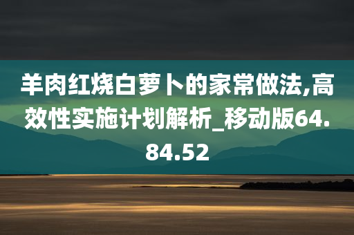 羊肉红烧白萝卜的家常做法,高效性实施计划解析_移动版64.84.52