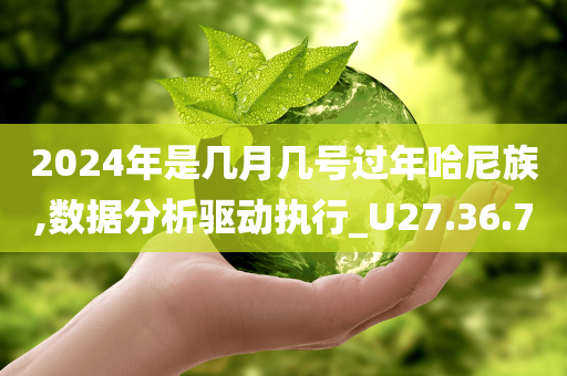 2024年是几月几号过年哈尼族,数据分析驱动执行_U27.36.70