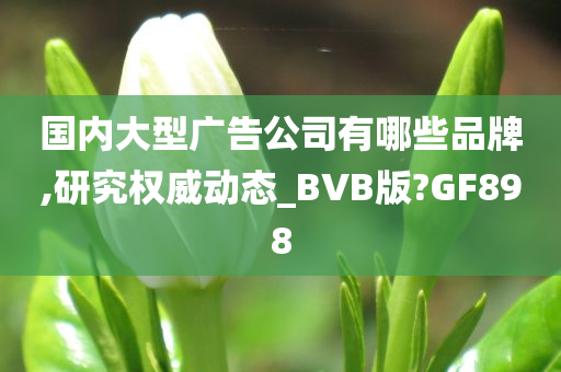 国内大型广告公司有哪些品牌,研究权威动态_BVB版?GF898