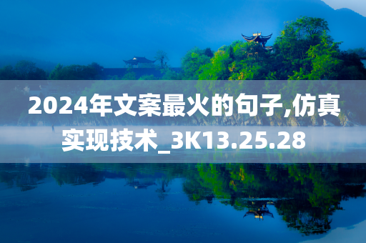 2024年文案最火的句子,仿真实现技术_3K13.25.28