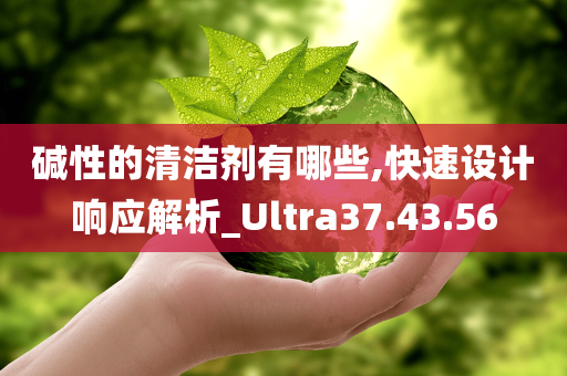 碱性的清洁剂有哪些,快速设计响应解析_Ultra37.43.56