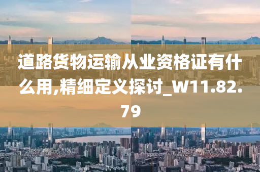 道路货物运输从业资格证有什么用,精细定义探讨_W11.82.79