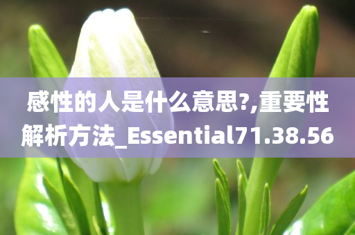 感性的人是什么意思?,重要性解析方法_Essential71.38.56