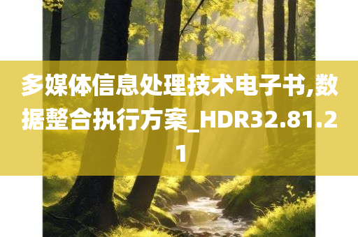 多媒体信息处理技术电子书,数据整合执行方案_HDR32.81.21