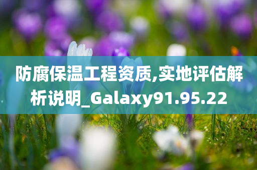 防腐保温工程资质,实地评估解析说明_Galaxy91.95.22