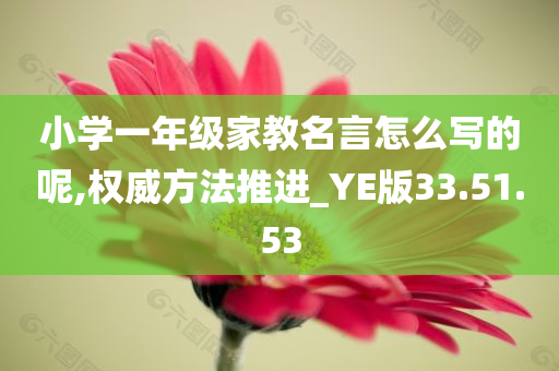 小学一年级家教名言怎么写的呢,权威方法推进_YE版33.51.53