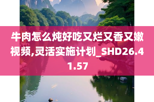 牛肉怎么炖好吃又烂又香又嫩视频,灵活实施计划_SHD26.41.57