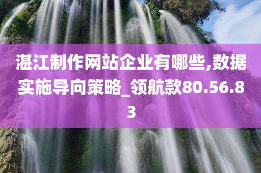 湛江制作网站企业有哪些,数据实施导向策略_领航款80.56.83