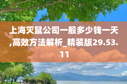 上海灭鼠公司一般多少钱一天,高效方法解析_精装版29.53.11