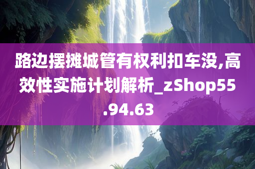 路边摆摊城管有权利扣车没,高效性实施计划解析_zShop55.94.63