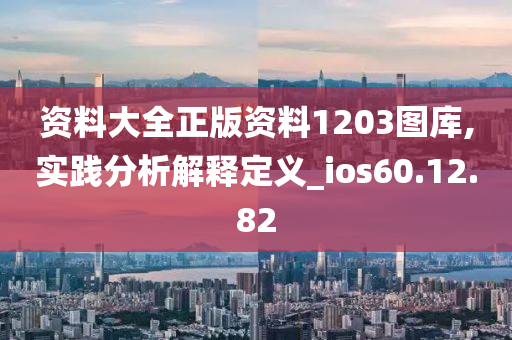 资料大全正版资料1203图库,实践分析解释定义_ios60.12.82