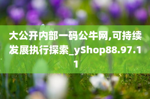 大公开内部一码公牛网,可持续发展执行探索_yShop88.97.11