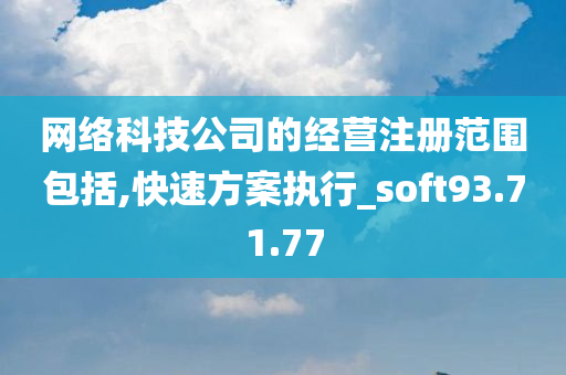 网络科技公司的经营注册范围包括,快速方案执行_soft93.71.77