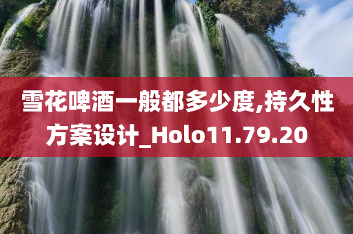 雪花啤酒一般都多少度,持久性方案设计_Holo11.79.20