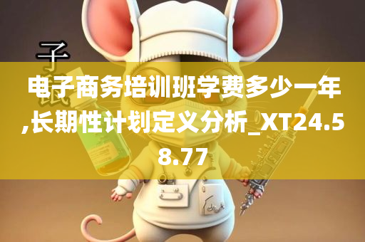 电子商务培训班学费多少一年,长期性计划定义分析_XT24.58.77